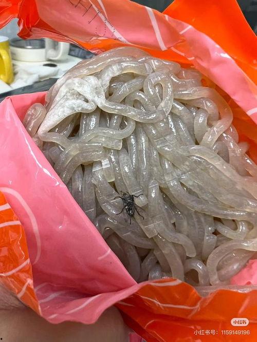 粉条爆料视频大全集最新